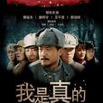 我是真的(2011年樓健執導電視劇)