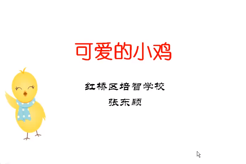 可愛的小雞 可愛的小雞