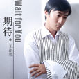 期待(王祖成演唱歌曲) 期待(王祖成演唱歌曲)