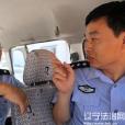 梁洪亮 梁洪亮