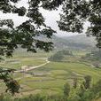 屯上村(福建南平市邵武市下沙鎮下轄村) 屯上村(福建南平市邵武市下沙鎮下轄村)