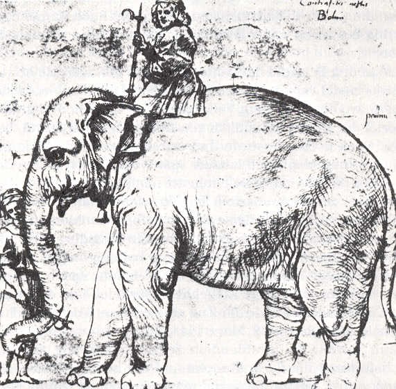 教皇曾對他的寵物大象的飼養揮霍無度
