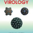 Fundamentals of Molecular Virology(Acheson, Nicholas H.著圖書) Fundamentals of Molecular Virology(Acheson, Nicholas H.著圖書)