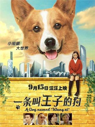 克拉拉 克拉拉