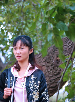 左金珠 左金珠