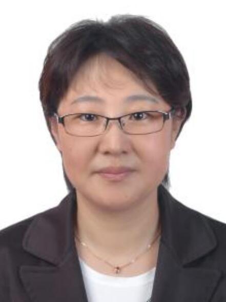李靜(大連理工大學講師)