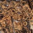 金絲玉劍 金絲玉劍