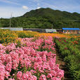 小吉祥村 小吉祥村