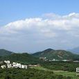 霞洞鎮