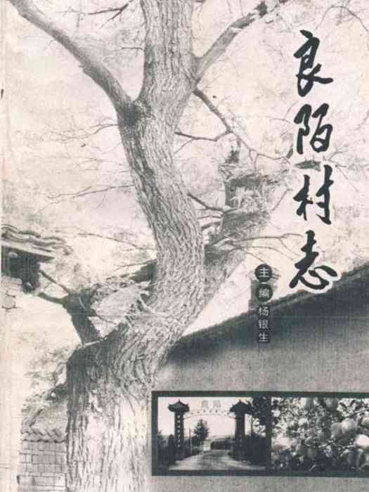 良陌村志