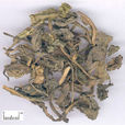 大青葉 大青葉