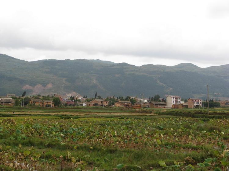 楊關營村