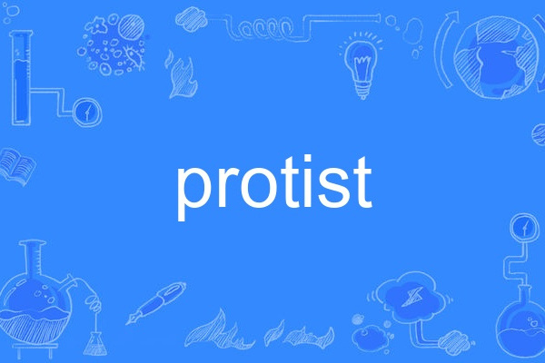 protist protist