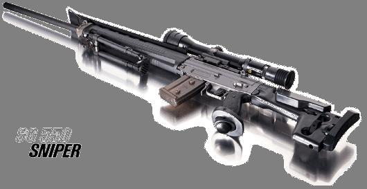 Sig SG550