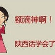 西北方言 西北方言