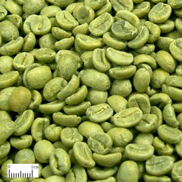 綠咖啡豆提取物