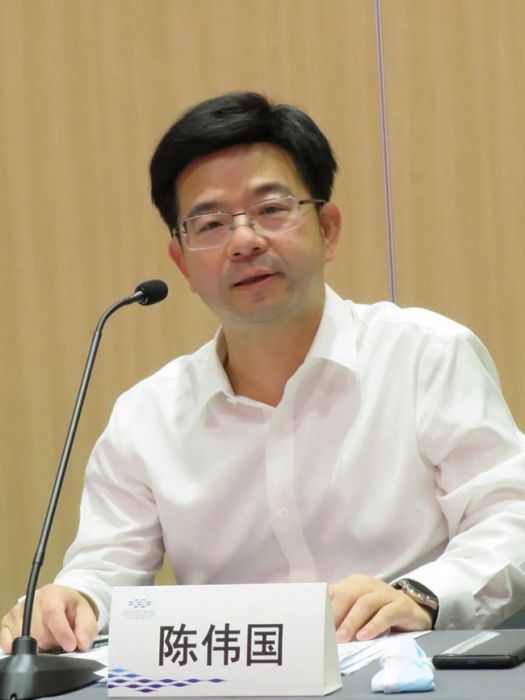 陳偉國(廣東省工業和信息化廳消費品工業處處長)