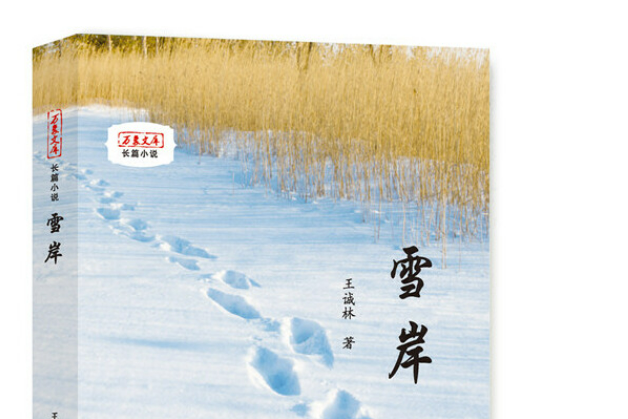 雪岸(2018年人民日報出版社出版書籍) 雪岸(2018年人民日報出版社出版書籍)