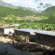 下箐腳村(雲南省紅河州金平縣勐拉鄉下箐腳村) 下箐腳村(雲南省紅河州金平縣勐拉鄉下箐腳村)