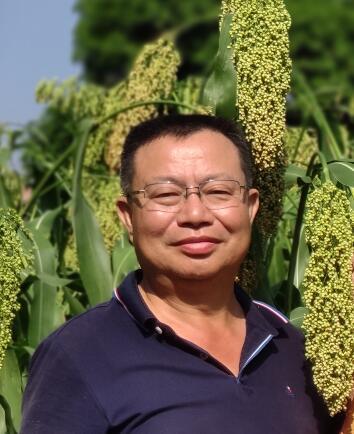 丁國祥(四川省農業科學院水稻高粱研究所研究員) 丁國祥(四川省農業科學院水稻高粱研究所研究員)