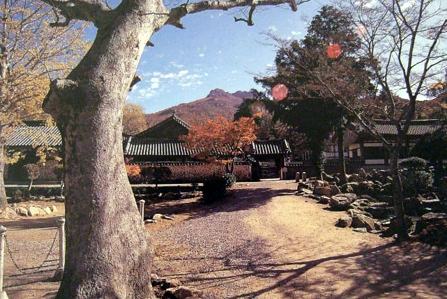 大興寺
