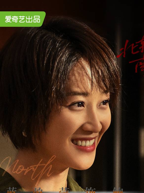 北轍南轅(2021年馮小剛執導的網劇)