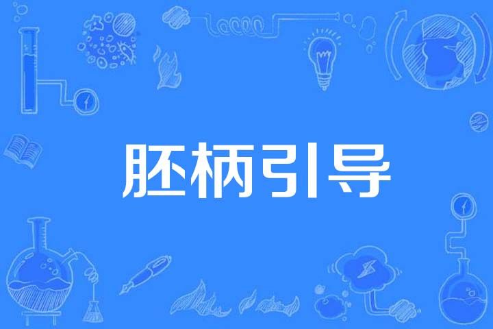 胚柄引導 胚柄引導
