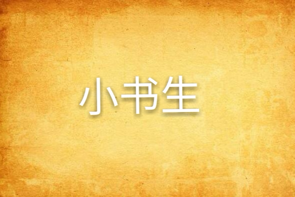 小書生 小書生