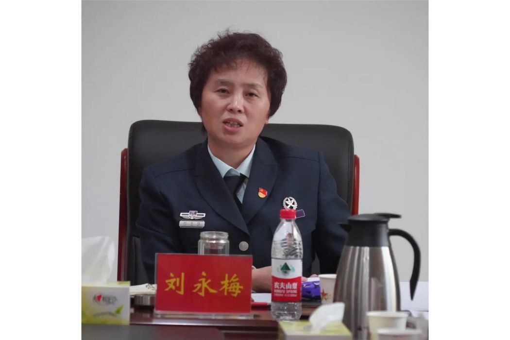 劉永梅(天津市第十八屆人民代表大會代表) 劉永梅(天津市第十八屆人民代表大會代表)