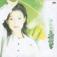 風的顏色(趙詠華1996年歌曲專輯) 風的顏色(趙詠華1996年歌曲專輯)