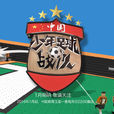 中國少年足球戰隊