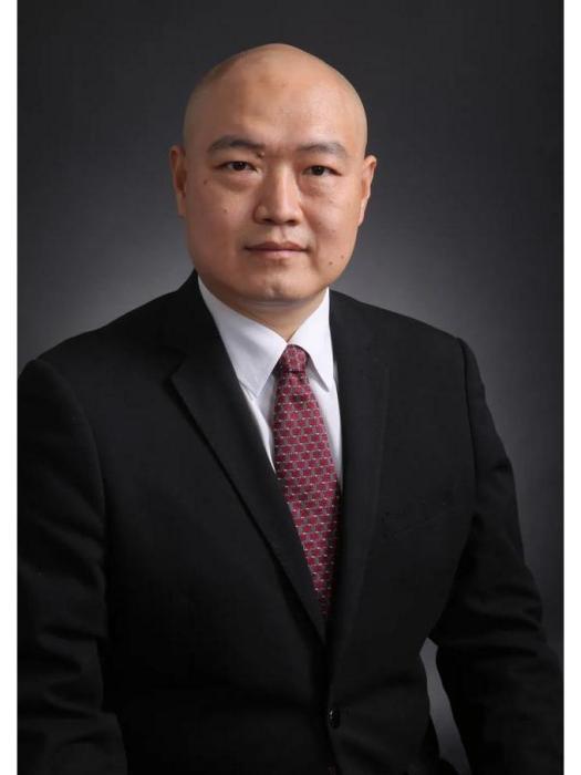 張德強(維信諾科技股份有限公司董事長) 張德強(維信諾科技股份有限公司董事長)
