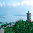 義橋