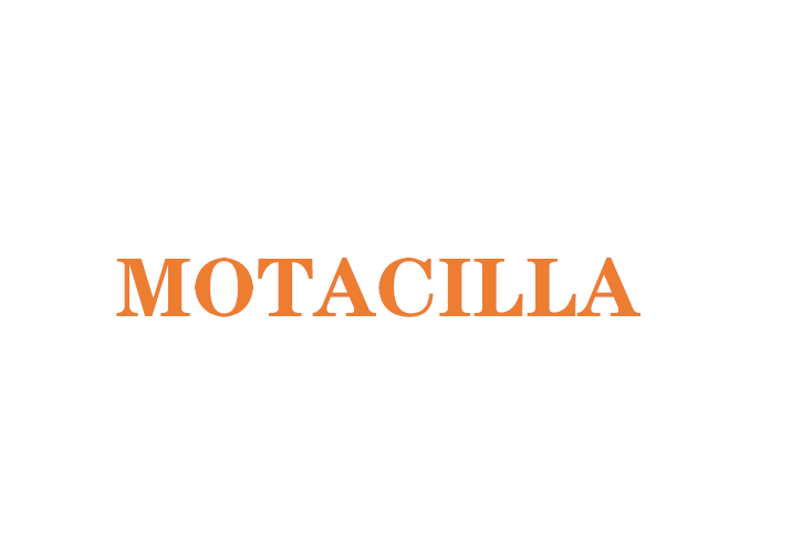 MOTACILLA(服飾配件品牌) MOTACILLA(服飾配件品牌)