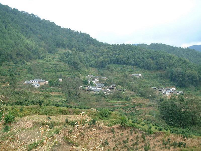 官地新村 官地新村