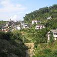 新建村(北京市昌平區流村鎮新建村)
