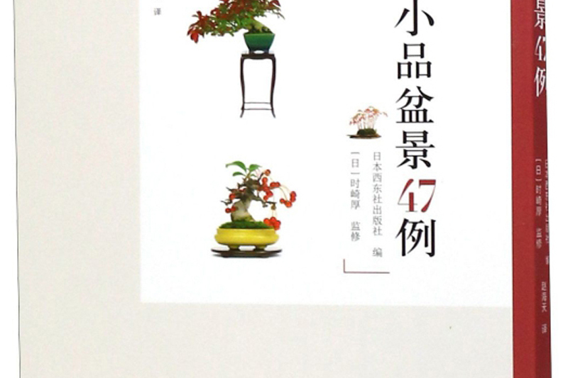 小品盆景47例 小品盆景47例