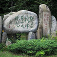 陳寅恪墓 陳寅恪墓