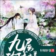 九層玲瓏塔 九層玲瓏塔