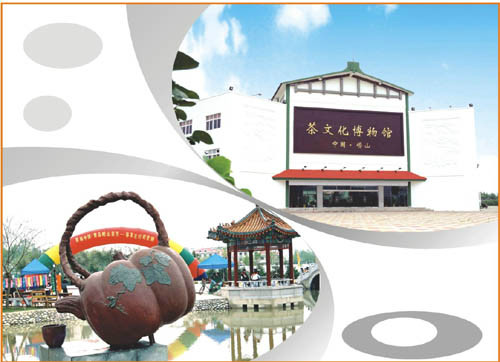 青島嶗山茶博物館