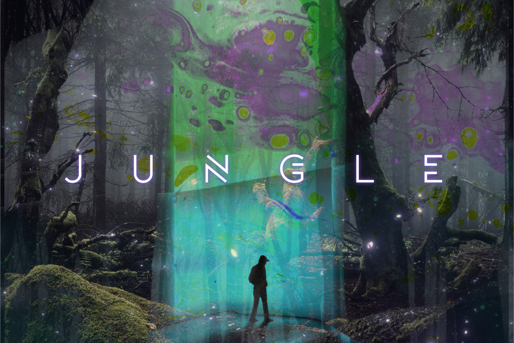 jungle(SakuragiSoni製作的純音樂作品) jungle(SakuragiSoni製作的純音樂作品)