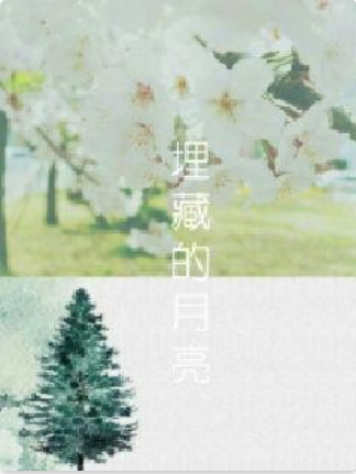 埋藏的月亮 埋藏的月亮