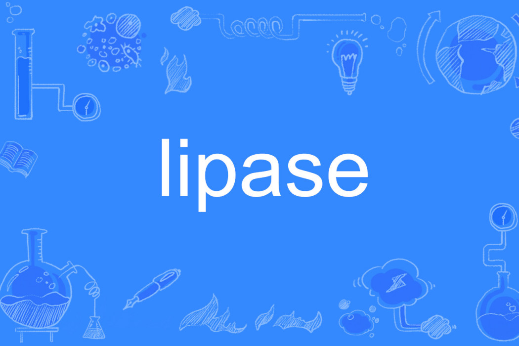 lipase lipase