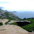 二洲島 二洲島