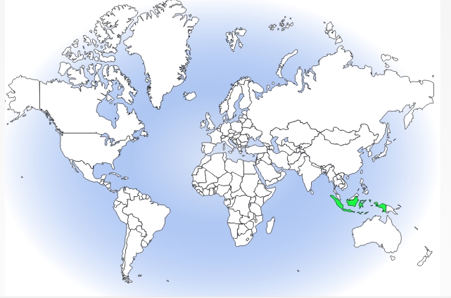 塔寧巴爾群島黃鸝分布圖