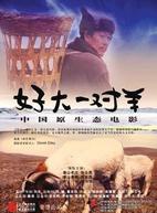 楊昊飛