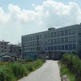 前排村 前排村