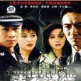 法不容情(唐敬睿執導電視劇) 法不容情(唐敬睿執導電視劇)