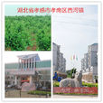 西河鎮(湖北省孝感市孝南區西河鎮)