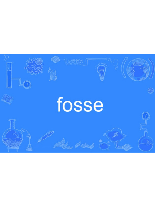 fosse fosse